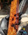 Concinna stabilized block  Conn A 10.14.23