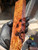 Concinna stabilized block  Conn A 10.14.23