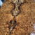  amboyna burl bookmatch A 1.13.2023