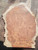 Red amboyna burl ONE PIECE TOP F