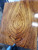 zebrawood  a 4.3.24 A