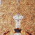 amboyna burl bookmatch C 6.24.24