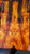Orange red black boxelder burl stabilized  bookmatch 9.10.24.002