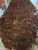 Claro burl walnut bookmatch Wal  burl 2 4.16.26