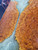 orange maple burl casted stabilized hybrid  bookmatch 11.13.24.002