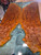 orange maple burl casted stabilized hybrid  bookmatch 11.13.24.002