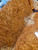 amboyna burl bookmatch 4 6.24.24