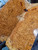 amboyna burl bookmatch 4 6.24.24