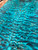 Blue quilted maple bookmatch (B)  11.21.2025