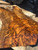 cocobolo spalted curly crotch bookmatch (6) 11/24/25