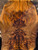 cocobolo spalted curly crotch bookmatch (10) 11/24/25