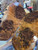 Mystery walnut like burl bookmatch 1 11.15.2025