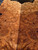 maple burl  bookmatch (3) 11.15.25