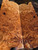 maple burl  bookmatch (3) 11.15.25