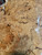 boxelder burl bookmatch box 1.7.26.002