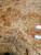 boxelder burl bookmatch box 1.7.26.002