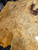 boxelder burl top  1.7.26.003