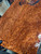 lace redwood  burl  bookmatch  1.7.26.001