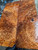 Lace redwood  burl  1.10.26