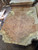 MIndi burl bookmatch A 12.8.25