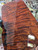 1pc curly redwood RED A 3.4.26