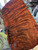 1pc curly redwood RED A 3.4.26