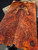 Lace redwood  burl  XW XL  3.10.26.004