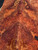 Lace redwood  burl  XW XL  3.10.26.006