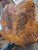 Xw Mystery walnut like burl bookmatch 4
