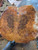 Xw Mystery walnut like burl bookmatch 4