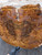Xw Mystery walnut like burl bookmatch 4