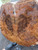 Xw Mystery walnut like burl bookmatch 4