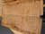 Quilted maple Bookmatch 4.1.26.0012