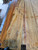 goncalo alves neck blank 7 4.20.26