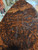 Claro burl walnut bookmatch Wal  burl 1 4.16.26