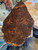 Claro burl walnut bookmatch Wal  burl 1 4.16.26