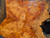 Neem burl bookmatch 7.10.26.001