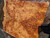 Neem burl bookmatch 7.10.26.001