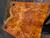 Neem burl bookmatch 7.10.26.004