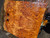 Neem burl bookmatch 7.10.26.004