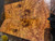 Gold Camphor burl bookmatch 7.10.26.004