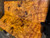 Gold Camphor burl bookmatch 7.10.26.005