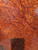 Redwood Burl 1 pc 8.01.26.001