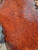 Redwood Burl 1 pc 8.01.26.001