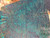 Space cake redwood stabilized  bookmatch  8.22.26.006
