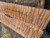Quilted maple bookmatch  top  8.01.26.C