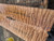 Quilted maple bookmatch  top  8.01.26.C