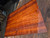 Curly tasmanian blackwood quartersawn 8.14.26.006