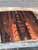 XL Mun ebony bookmatch 8.17.26.004