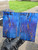Blue stabilized XW amur ash scales  8.21.26 Amur B